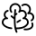 ירק ועשבי תיבול