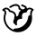 ירקות